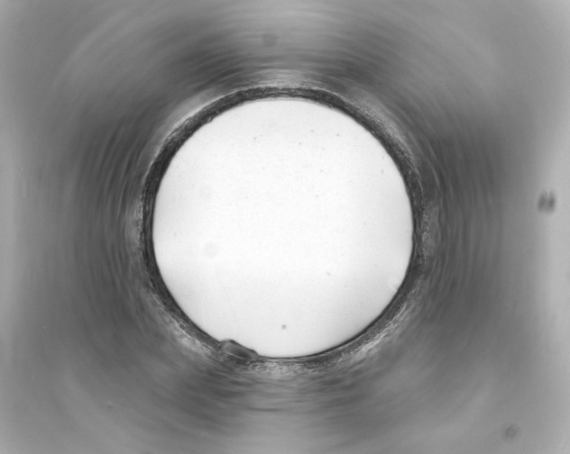 X0000093600831200711121146