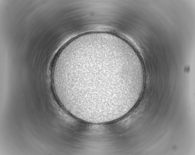 X0000093600835200711121146