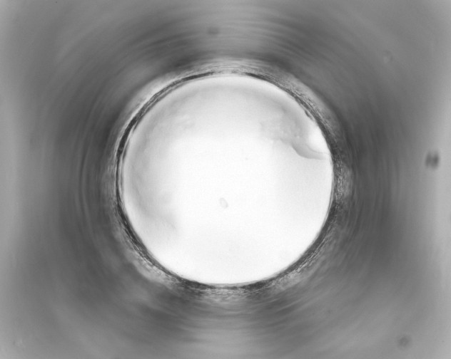 X0000093600836200711121146