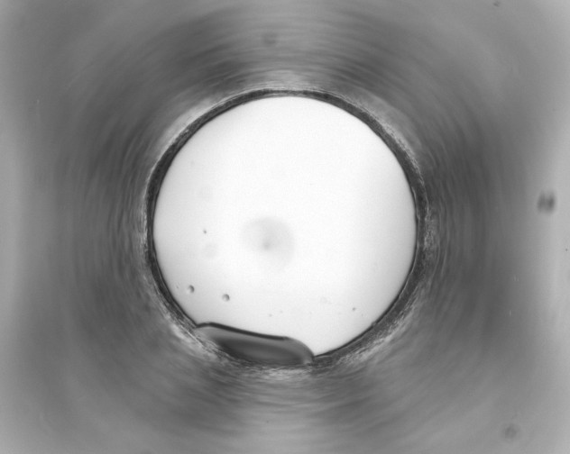 X0000093600837200711121146