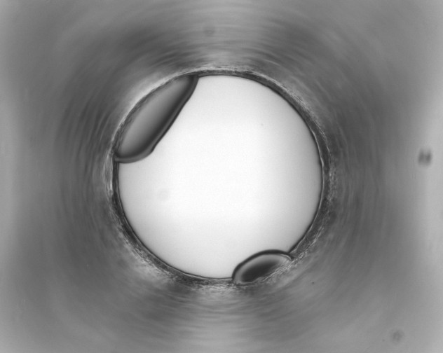 X0000093600838200711121146