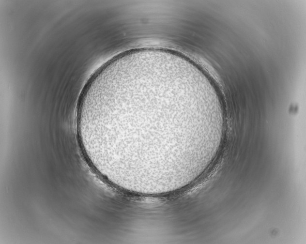 X0000093600839200711121146