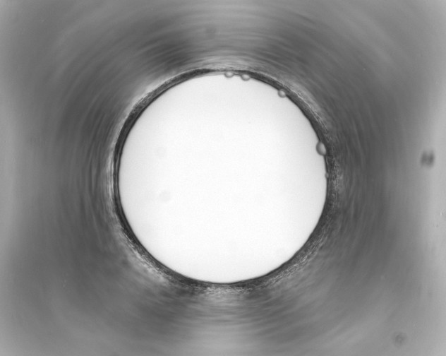 X0000093600840200711121147