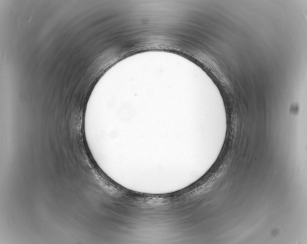 X0000093600841200711121147