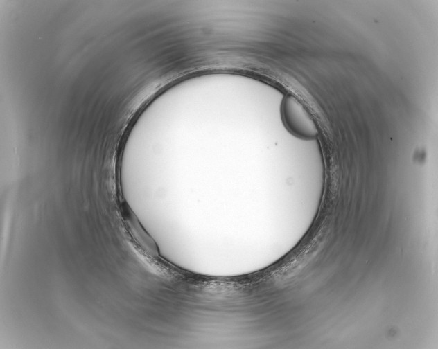 X0000093600842200711121147