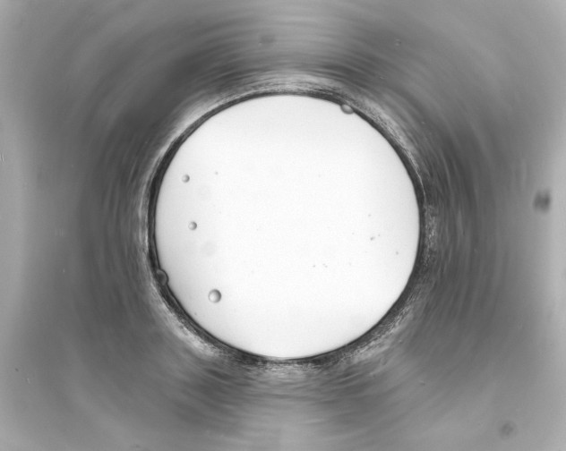 X0000093600843200711121147