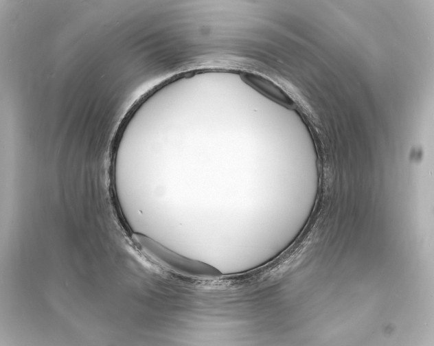 X0000093600846200711121147