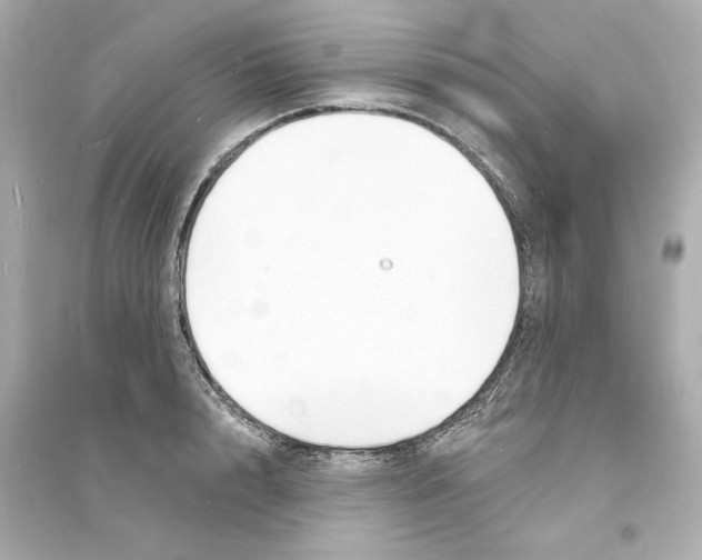 X0000093600848200711121147