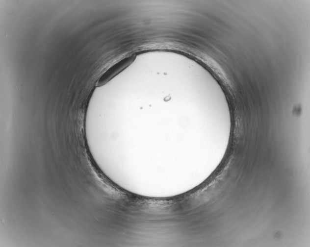 X0000093600849200711121147