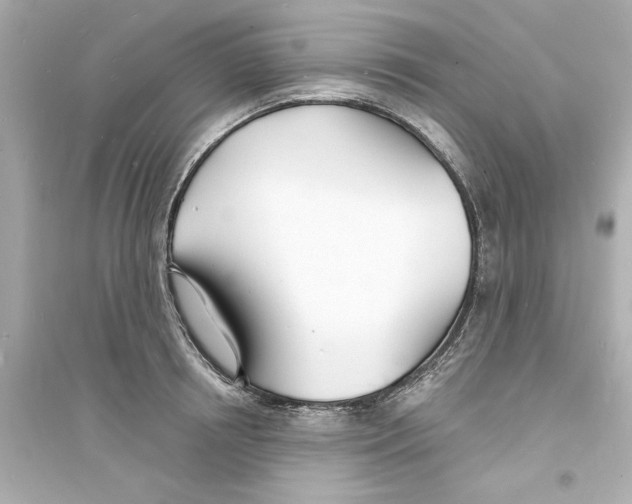 X0000093600850200711121147