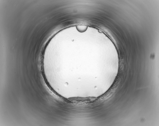 X0000093600851200711121147