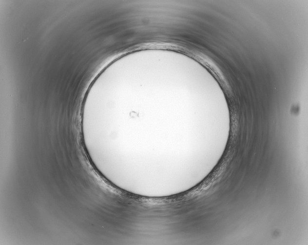 X0000093600852200711121147