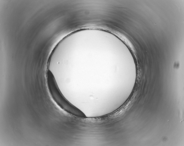 X0000093600855200711121147