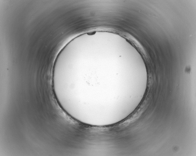 X0000093600860200711121147