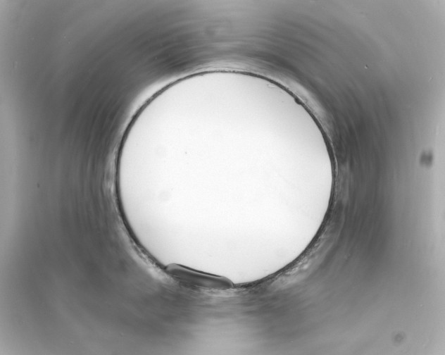 X0000093600862200711121147