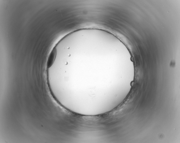 X0000093600863200711121147