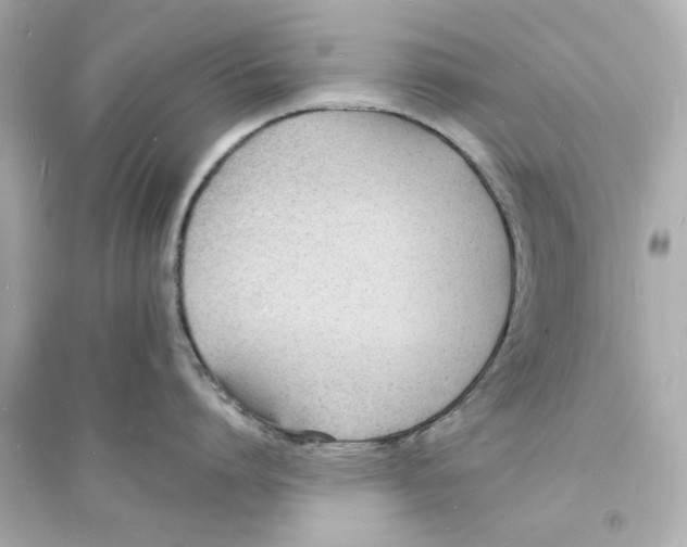 X0000093600864200711121147