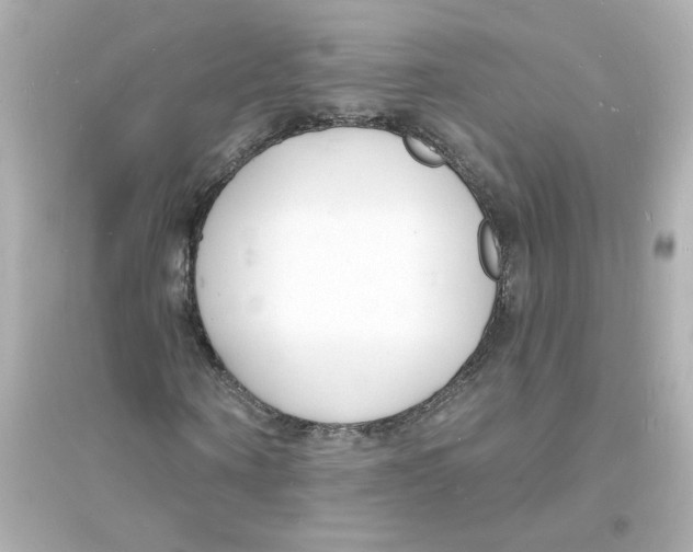 X0000093600866200711121146