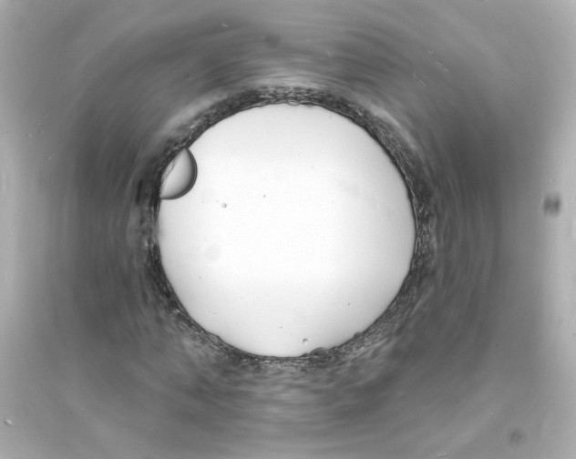 X0000093600870200711121146