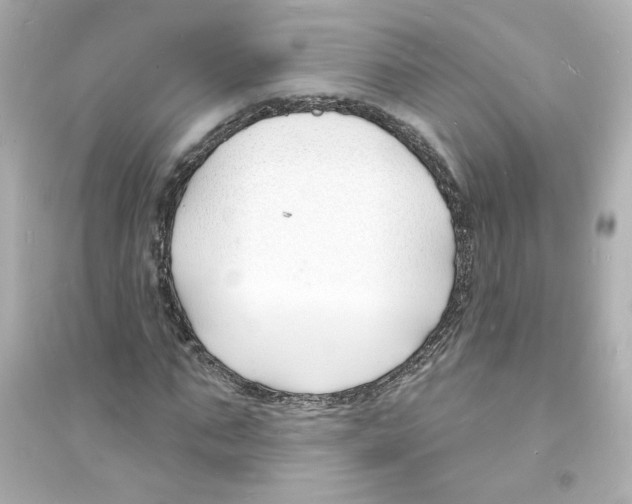 X0000093600871200711121146