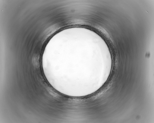 X0000093600873200711121146