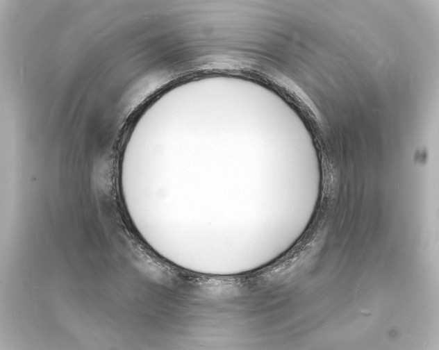 X0000093600874200711121146