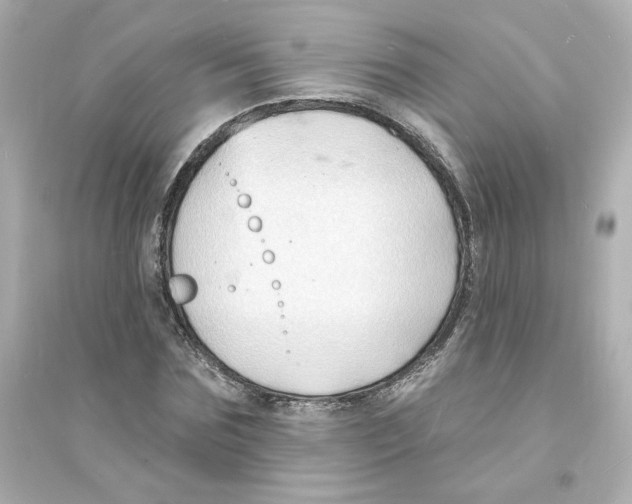 X0000093600875200711121146