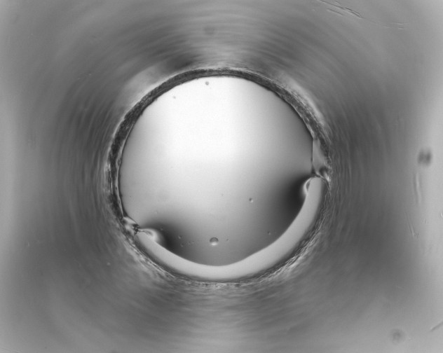 X0000093600876200711121146