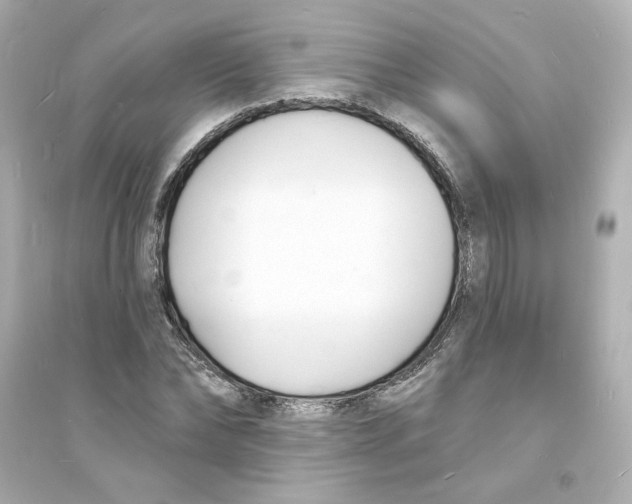 X0000093600878200711121146