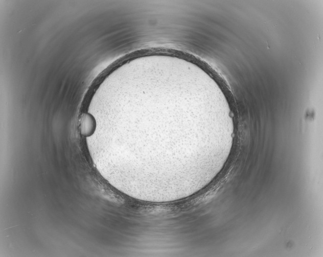 X0000093600879200711121146