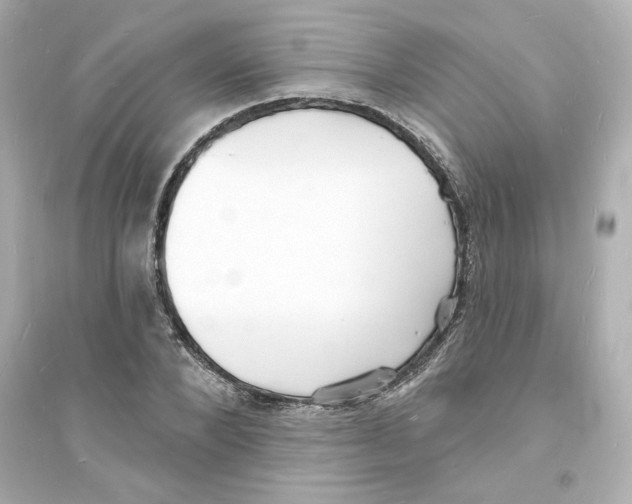 X0000093600880200711121146