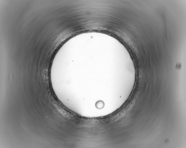 X0000093600881200711121146