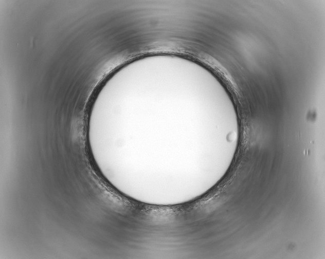 X0000093600882200711121146