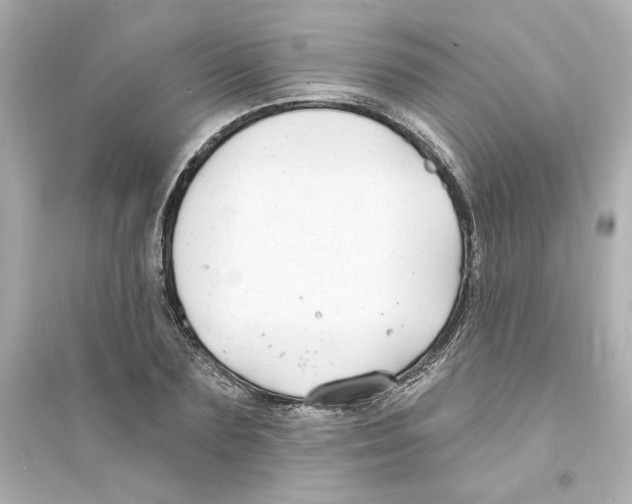 X0000093600883200711121146