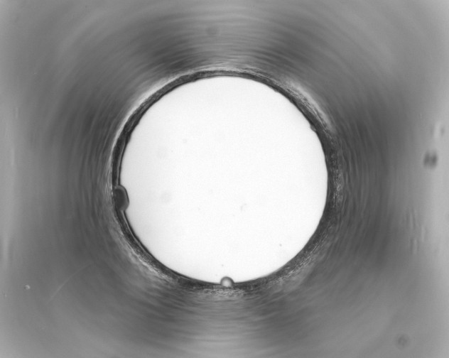 X0000093600884200711121146