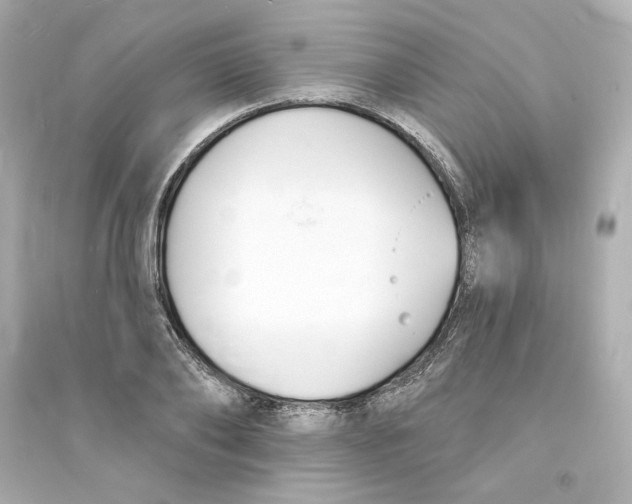 X0000093600886200711121146