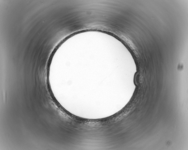 X0000093600888200711121146