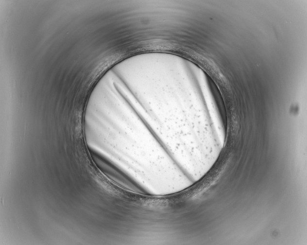 X0000093600889200711121146