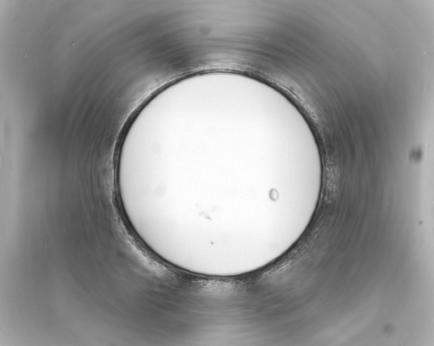 X0000093600890200711121146