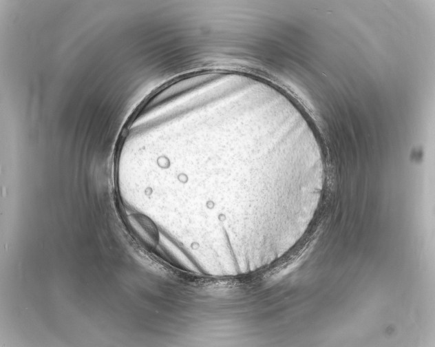 X0000093600891200711121146