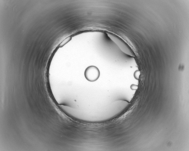 X0000093600893200711121146