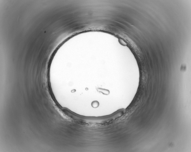 X0000093600894200711121146