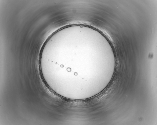 X0000093600895200711121146