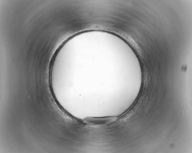 X0000093600896200711121146