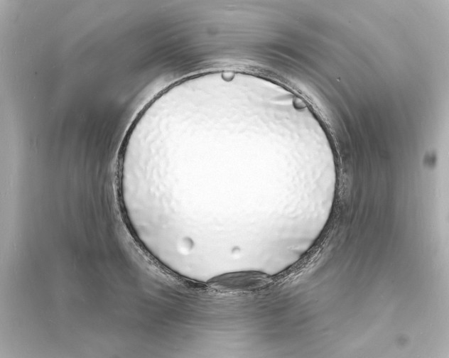 X0000093600899200711121146