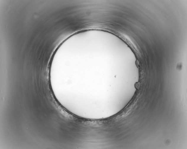 X0000093600900200711121146