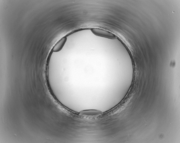 X0000093600901200711121146