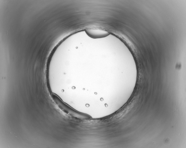 X0000093600902200711121145