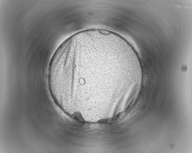 X0000093600903200711121145