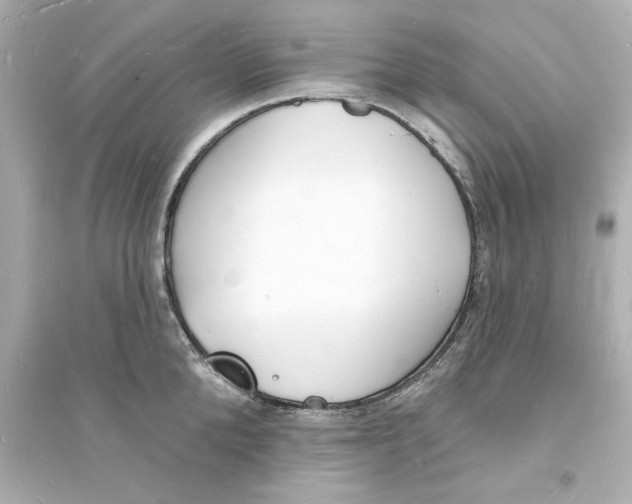 X0000093600904200711121145